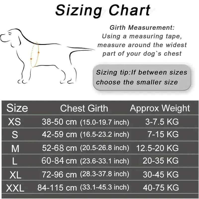 Blue Dog Harness - Size L | Stylish & Comfortable for Your Pet