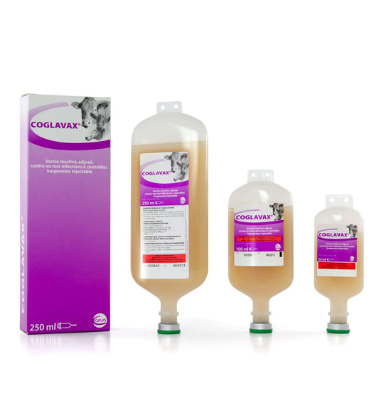 Coglavax 250 ml | Effective Injectable Solution for Cattle - Kartoon Boutique - Coglavax 250 ml | Effective Injectable Solution for Cattle