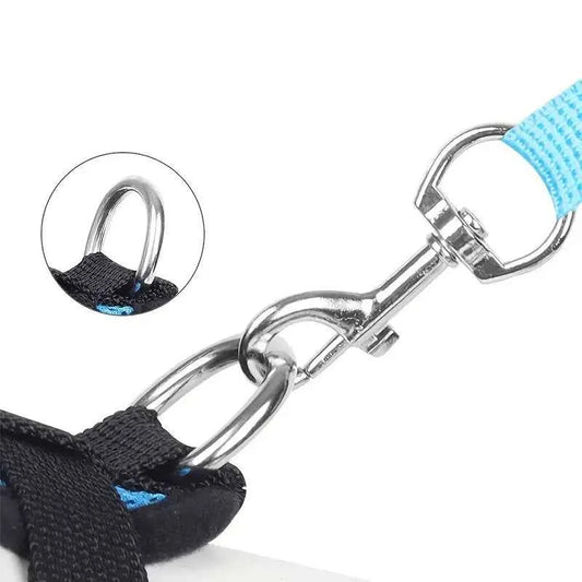 Blue Dog Harness - Size L | Stylish & Comfortable for Your Pet